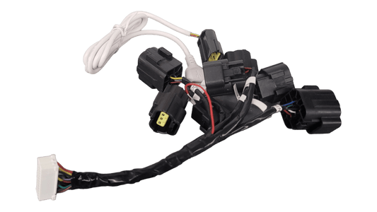3Shul C350 / CL350 V3 Molex Wiring Harness - Accessory - 3SHUL - WIRE_HARNESS_350_V3 eBike Super Shop