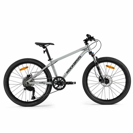 Darwin IV 24-Inch Kids Bike