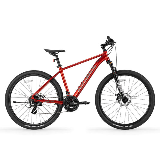 MT200 - Mountain Bike