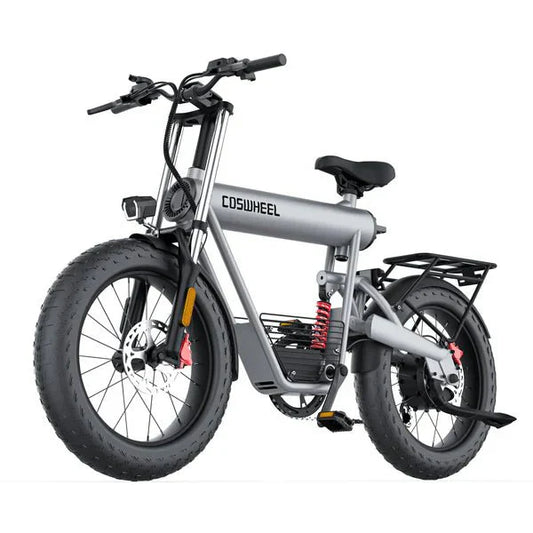 Coswheel Rybit T20 1000 Watt 48v Electric Bicycle - sku - 45795214196990 eBike Super Shop
