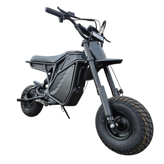 eBike Electro & Co The Rizzler - In Store Pickup Only