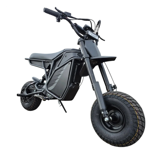 eBike Electro & Co The Rizzler Sport - In Store Pickup Only