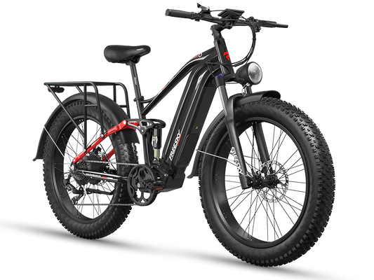 FREESKY Eurostar M-410 1000 w Mountain Ebike 4 Fat Tire Electric Fat Tire Mountain eBike
