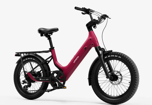 eBike Urtopia Carbon Joy