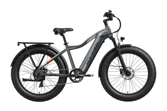 Gray Mokwheel Tor Plus eBike side view, showcasing frame design, wheels, and battery placement.