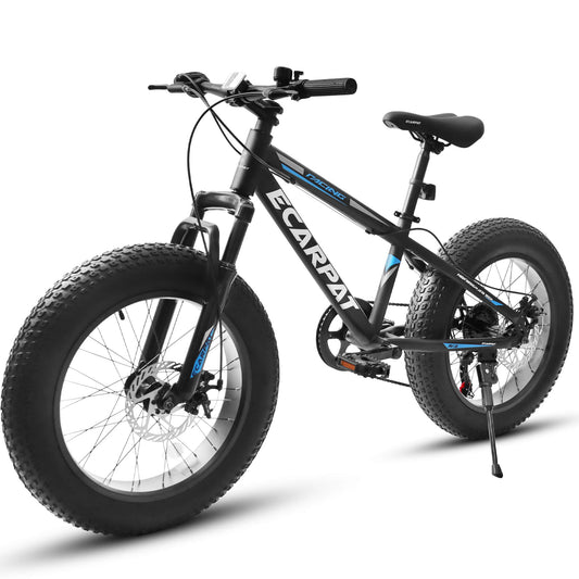 Ecarpat Arena - 20"×4" - SHP - W1856P152434 eBike Super Shop