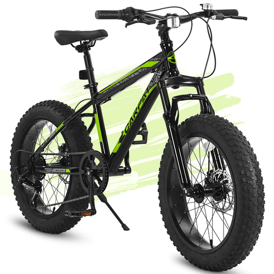 Ecarpat Joycycle - 20"×4" - SHP - W2563P156282 eBike Super Shop
