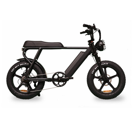 Ernie - Ebike - sku - 44880280322349 eBike Super Shop