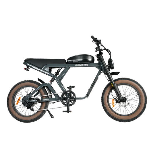 Electric bike, eBike Revi Cougar model in anthracite color, side view, isolated on white background
