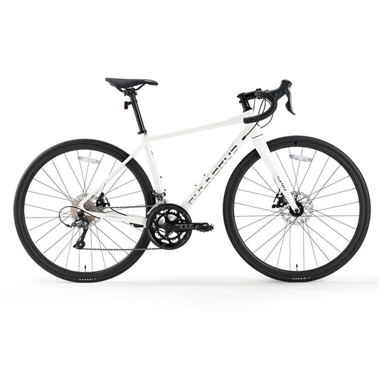 ROCKBROS SPIN-W2M Series Road Bike