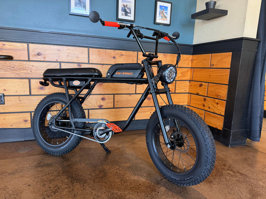 Custom Dirty Ripper 750 w Electric e-Moto Style eBike 20x4 Fat tire electric bike