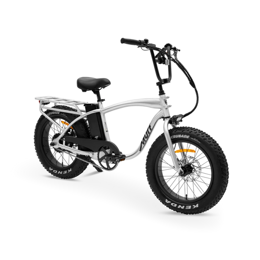 MURF Electric Urban eBike  Higgs-52v 750 w Fat Tire Electric Beach Cruiser eBike