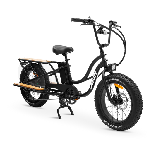 MURF Higgs Cargo Fat Tire Electric Cargo Beach Cruiser eBike-52v 750 w Electric Cargo eBike