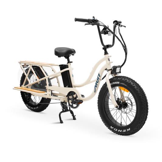 MURF Higgs Cargo Fat Tire Electric Cargo Beach Cruiser eBike-52v 750 w Electric Cargo eBike