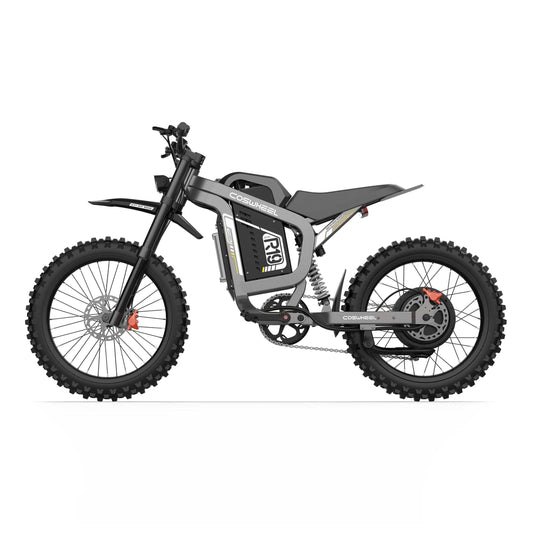 eBike Coswheel R19