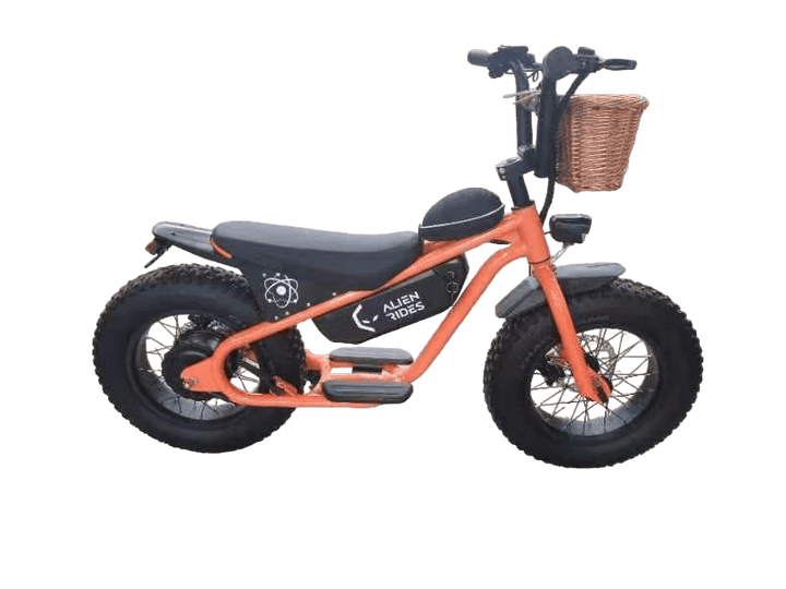 eleek atom electric bicycle AR Atom 1000 Watt Mini Electric Bicycle