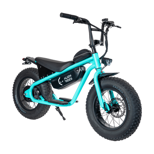 AR Atom 1000 Watt Mini Electric Bicycle