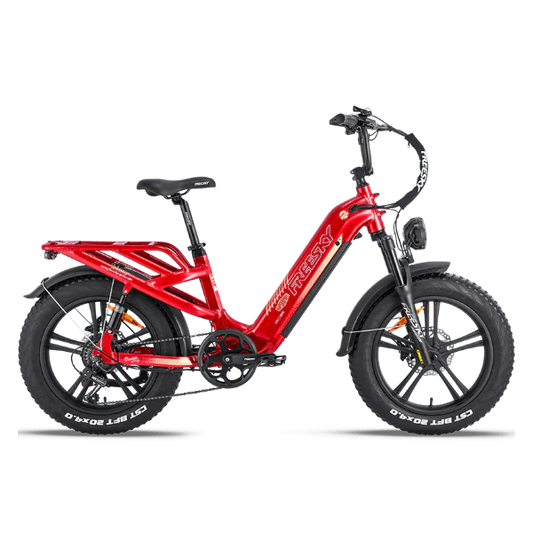 eBike Freesky Rocky Pro A-320
