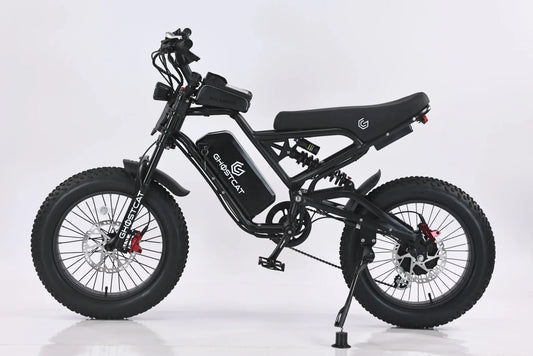 eBike Ghostcat F3 Class 2