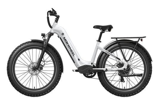 eBike Mokwheel Basalt ST - White S
