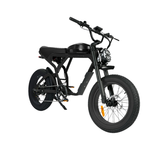 Black eBike Revi Cougar electric bicycle side view on white background