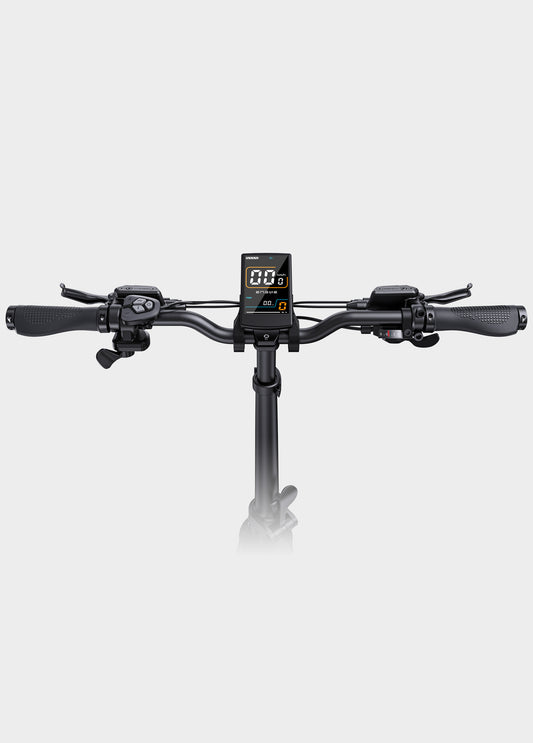 ENGWE L20 3.0 electric bike in black, shown from a side angle with fat tires, front basket, rear rack, and step-through frame, displayed on a white background.