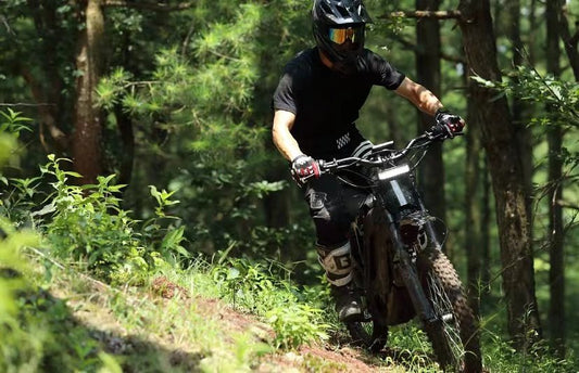 eRide Pro S 3000 w / 6000 w  Ebike 17x3 Dirt Electric Dirt Bike