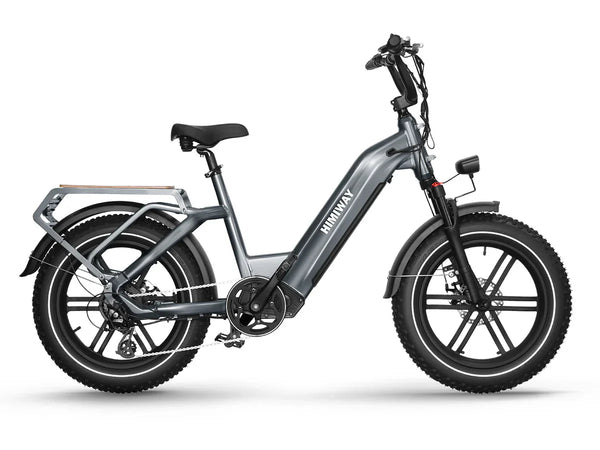 Himiway 750W D5 Zebra Premium All Terrain Electric Fat Bike