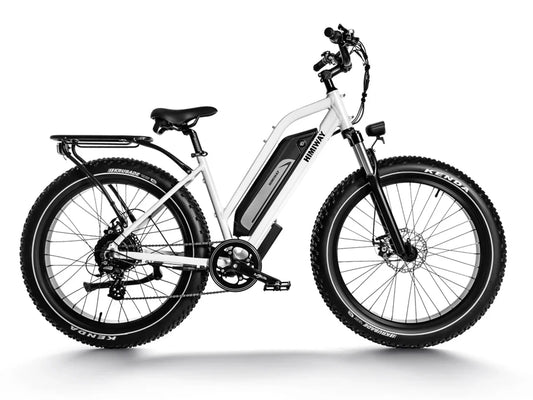 HIMIWAY Cruiser ST D3 750 w Step Thru Ebike 26x4 Fat Electric Fat Tire Mountain eBike