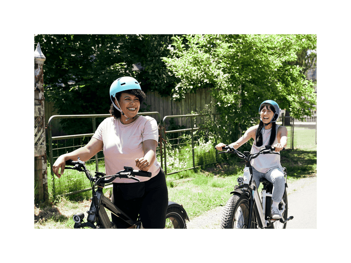 RadRover™ 6 Plus Electric Fat Tire Bike - Electric Bike - 101 - 00065 eBike Super Shop