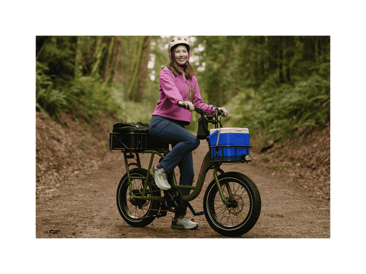 RadRunner™ Electric Cargo Utility Bike - Electric Bike - 106 - 00072 eBike Super Shop