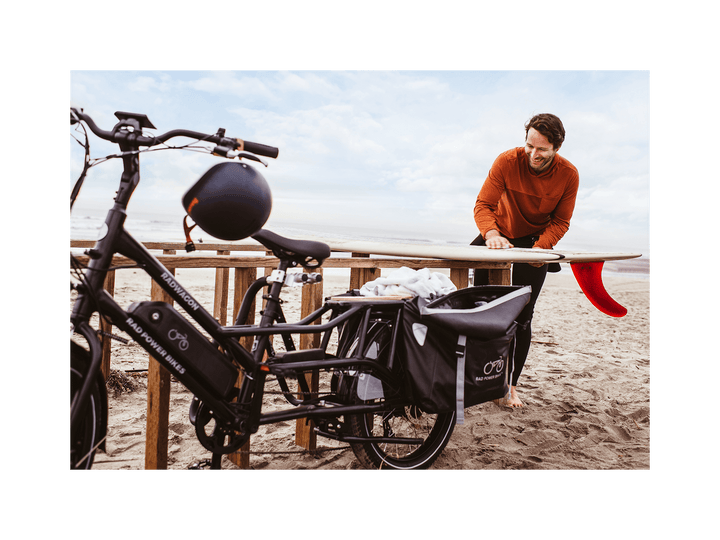 RadWagon™ 4 Electric Cargo Bike - Electric Bike - 102 - 00016 eBike Super Shop